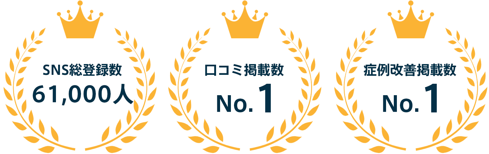 整体院Honestyの実績
